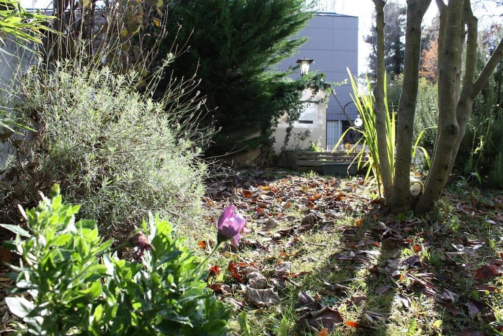 Superb Apt- Garden- 3 Parkings, Near Petite Venise ! 콜마 외부 사진