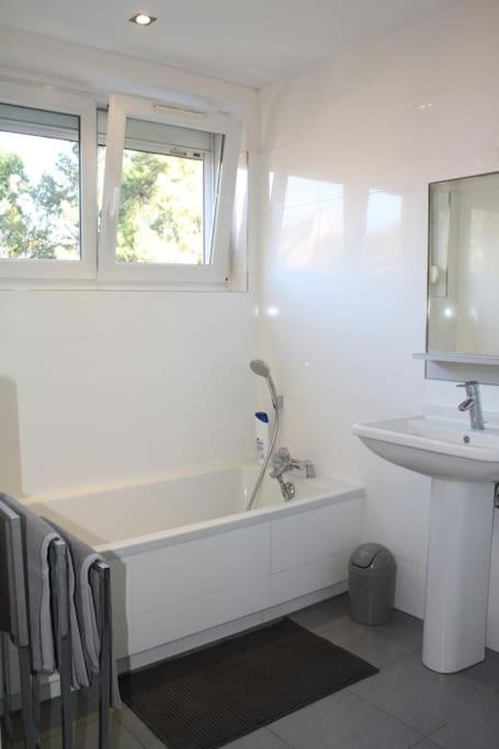 Superb Apt- Garden- 3 Parkings, Near Petite Venise ! 콜마 외부 사진