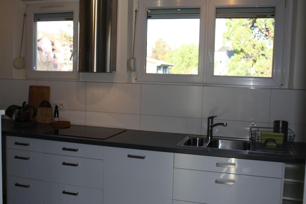 Superb Apt- Garden- 3 Parkings, Near Petite Venise ! 콜마 외부 사진