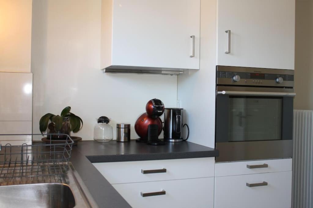 Superb Apt- Garden- 3 Parkings, Near Petite Venise ! 콜마 외부 사진