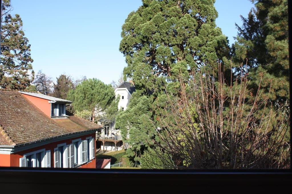 Superb Apt- Garden- 3 Parkings, Near Petite Venise ! 콜마 외부 사진