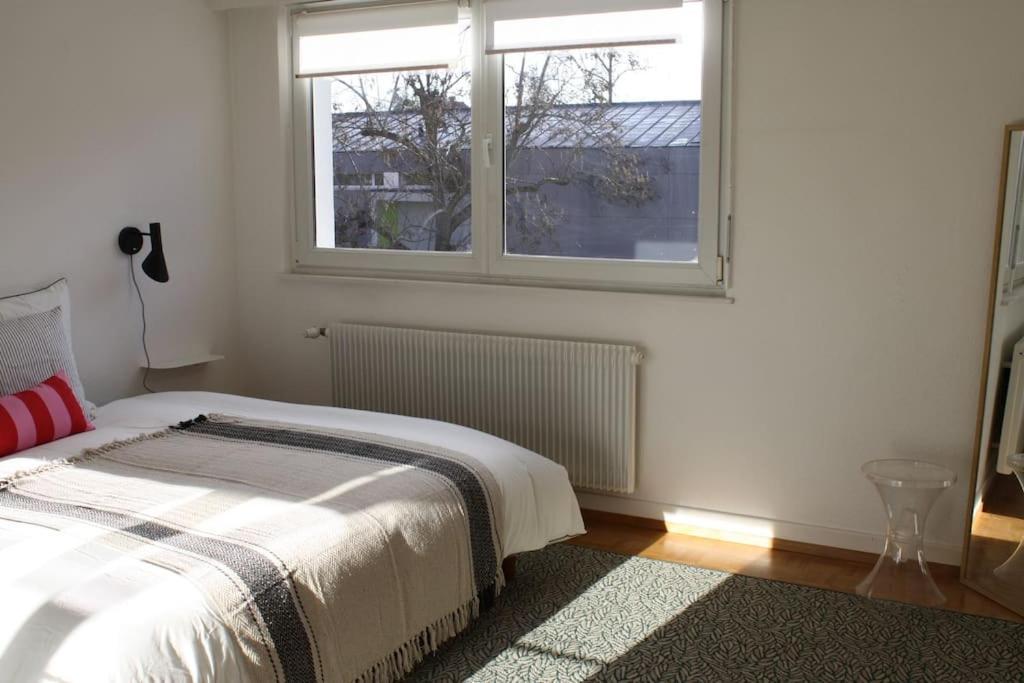 Superb Apt- Garden- 3 Parkings, Near Petite Venise ! 콜마 외부 사진
